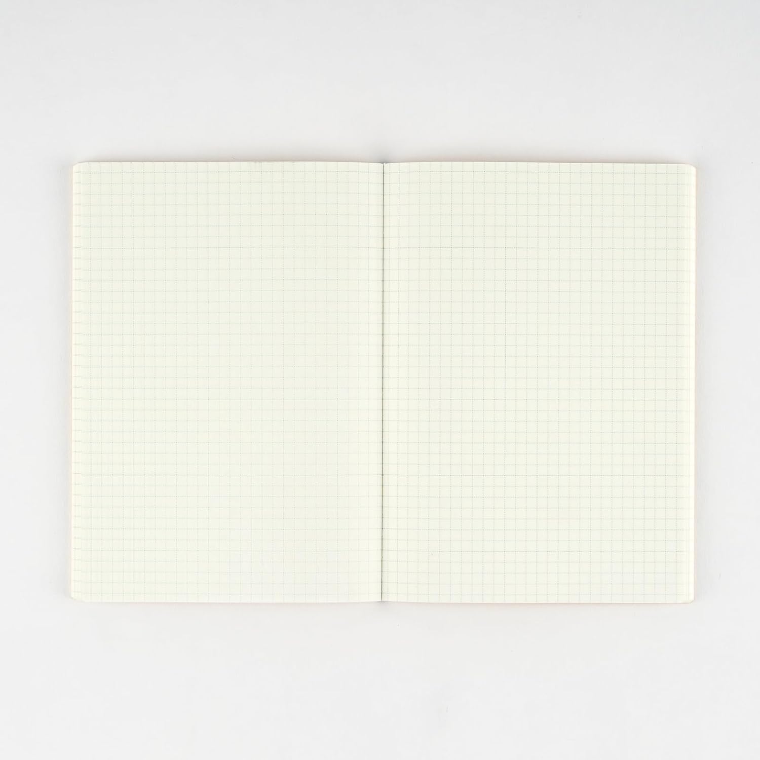 Hobonichi Naoki Ishikawa Graph Notebook