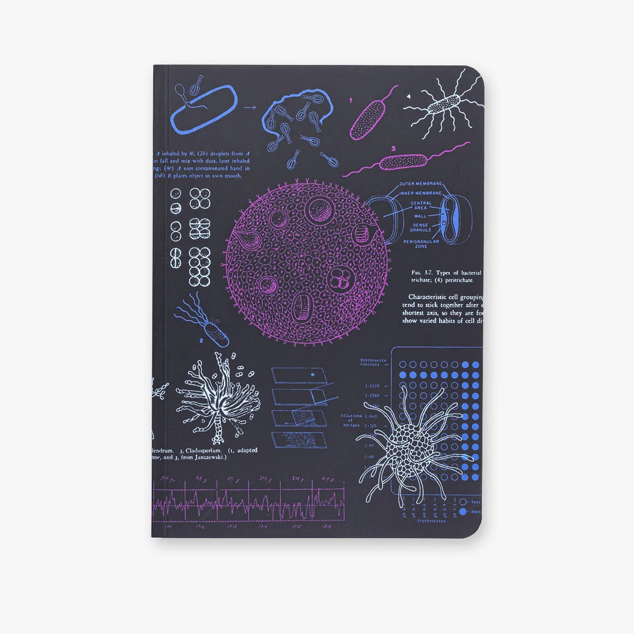 Atoms to Astronauts A5 Softcover