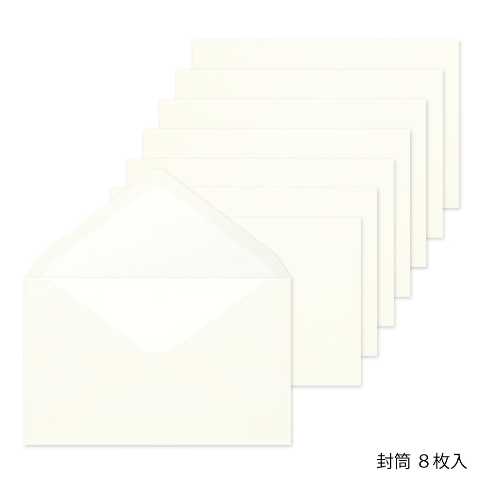 Midori Envelope Sideways