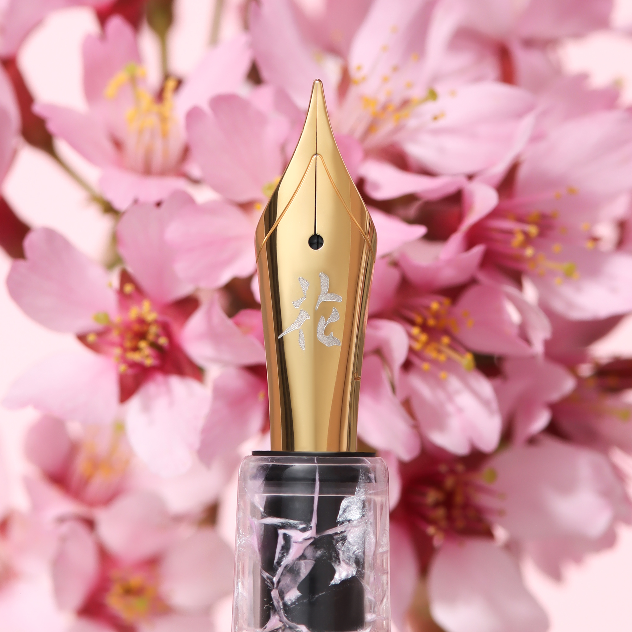 Bungobox x Esterbrook Cherry Blossom