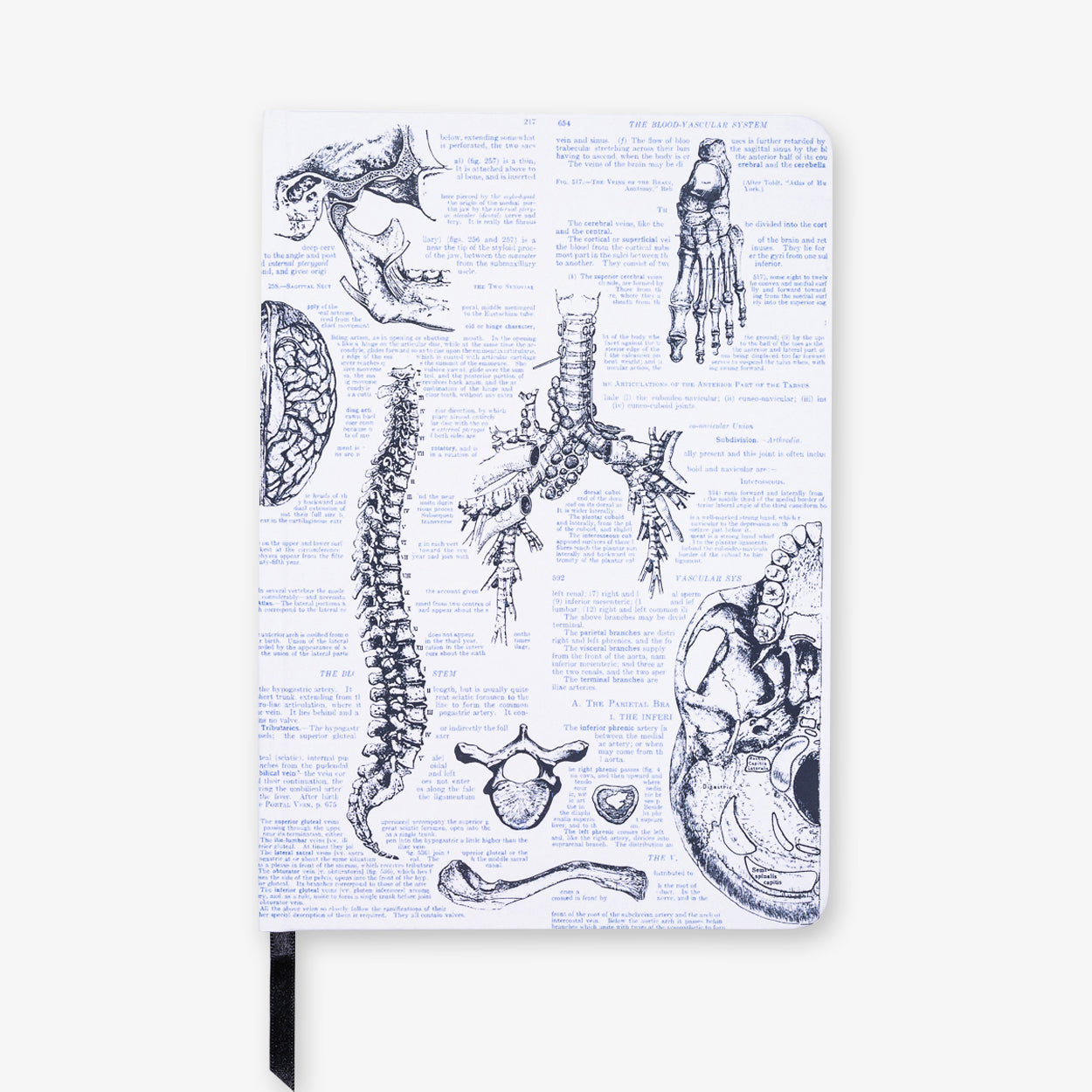 Atoms to Astronauts A5 Hardcover