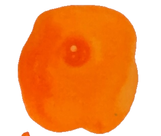 Octopus Neon Orange Ink Sample 2ml