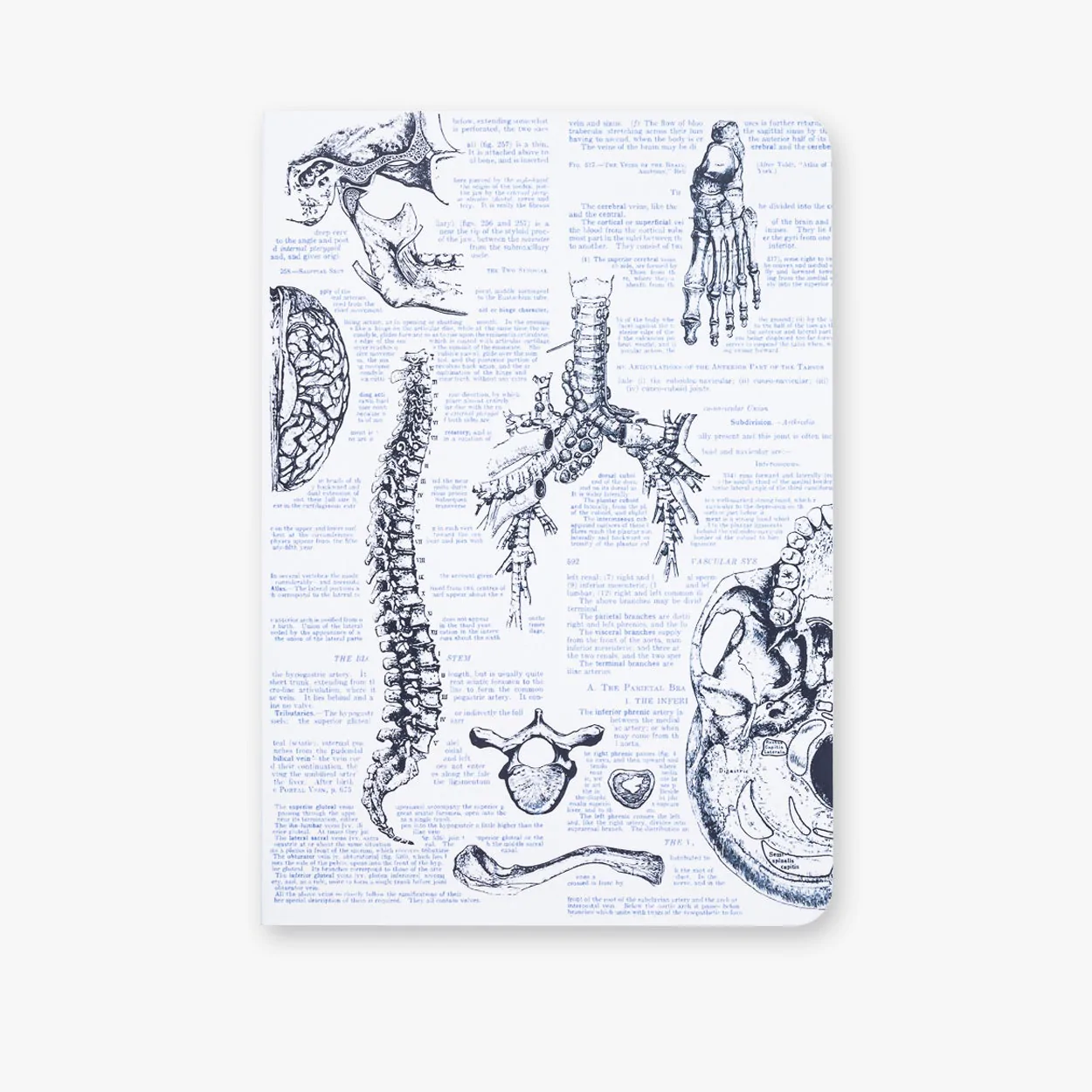 Atoms to Astronauts A5 Softcover