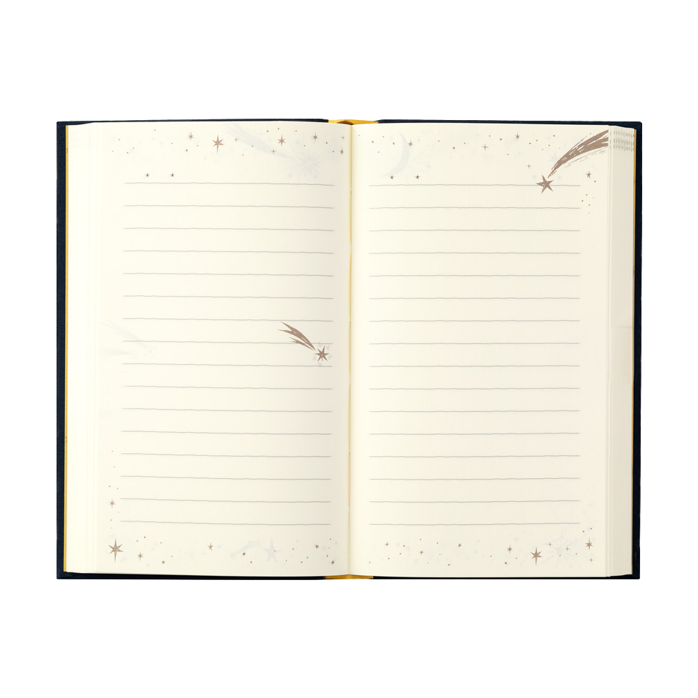 Midori Daily Diary Stars 1 Day 1 Page