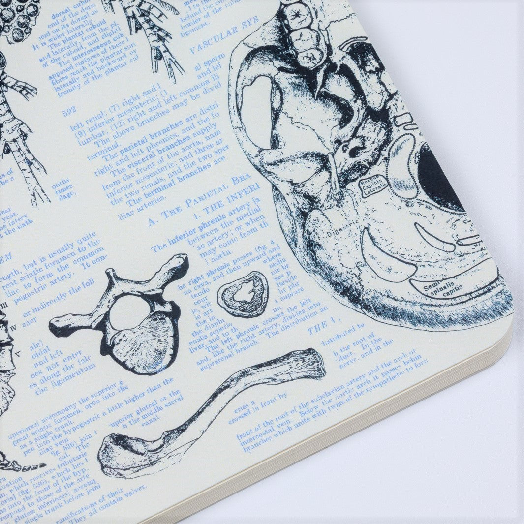 Atoms to Astronauts A5 Softcover