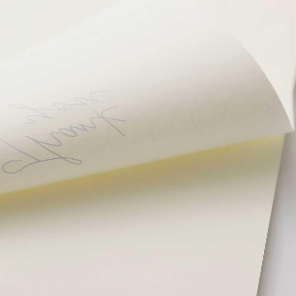 Tomoe River Loose Sheet Plain 52gm