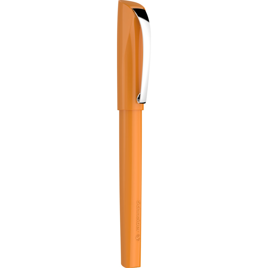 Schneider Ceod Colour