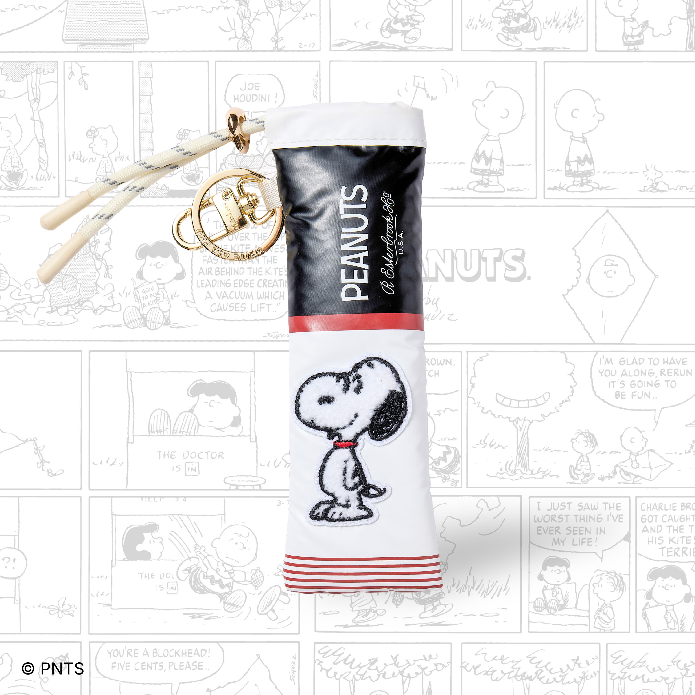 Esterbrook x Peanuts Pen Case