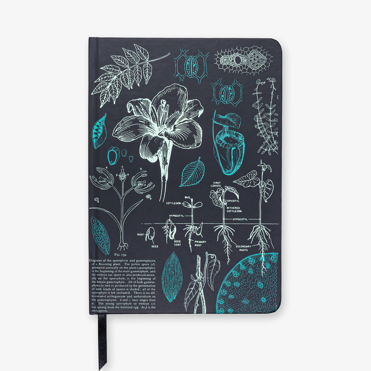 Atoms to Astronauts A5 Hardcover