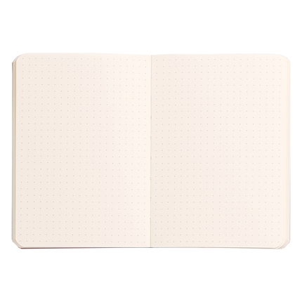 Rhodia Webnotebook A6