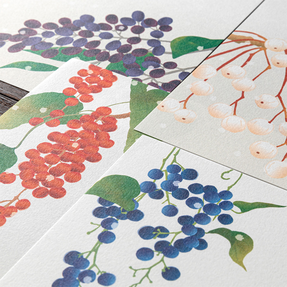 Midori Seasonal Stationery