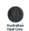 Robert Oster - Australian Opal Grey 50ml
