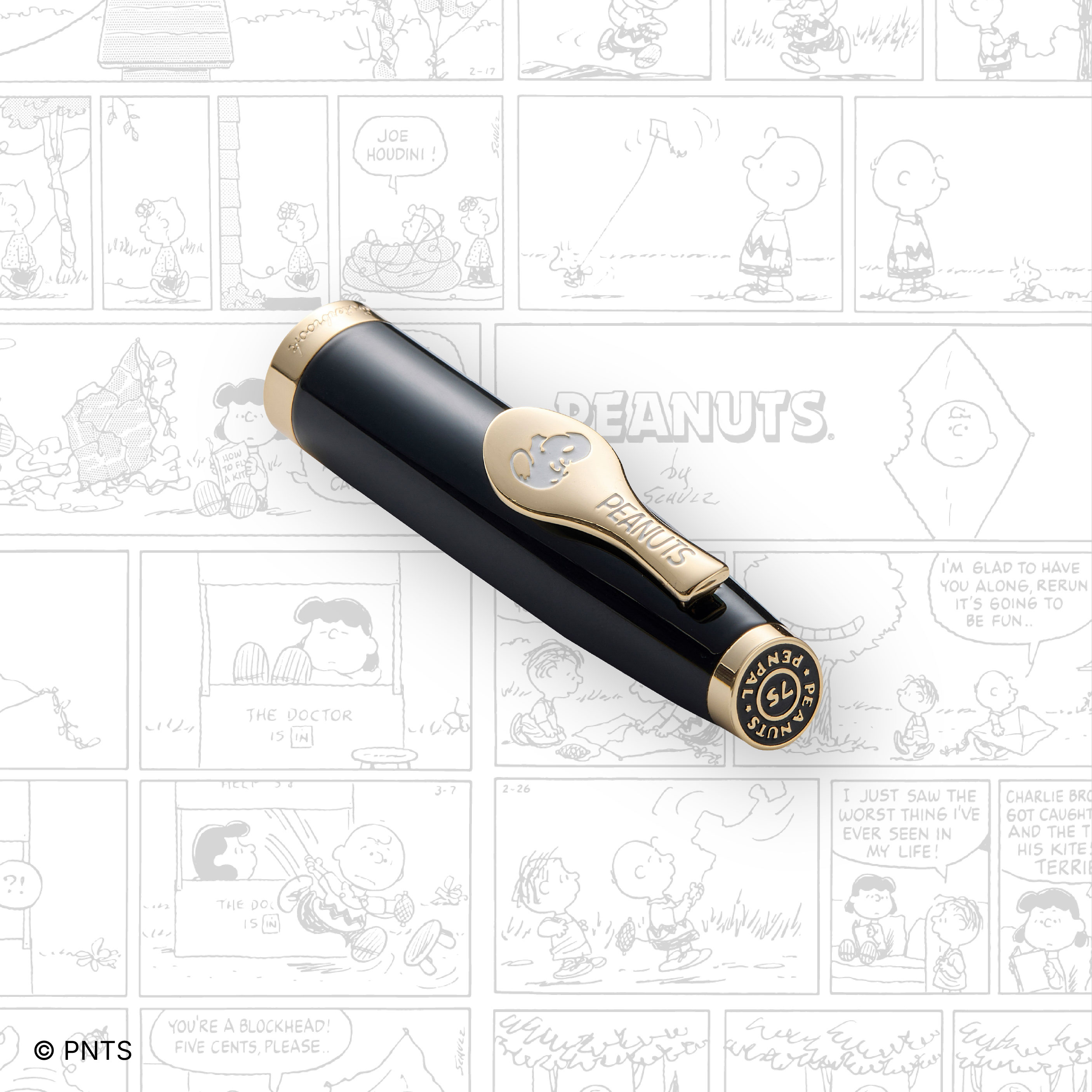 Esterbrook x Peanuts Estie