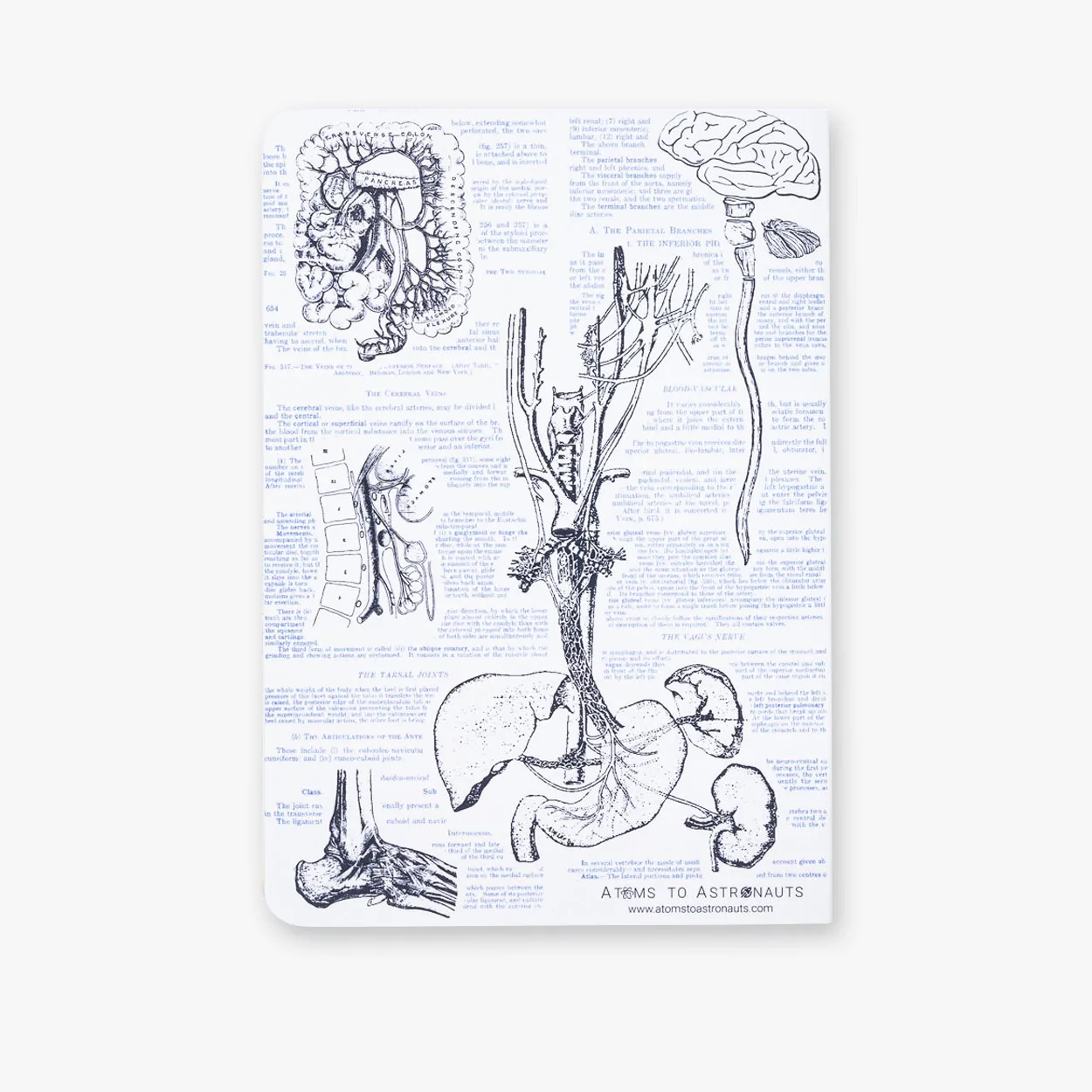 Atoms to Astronauts A5 Softcover