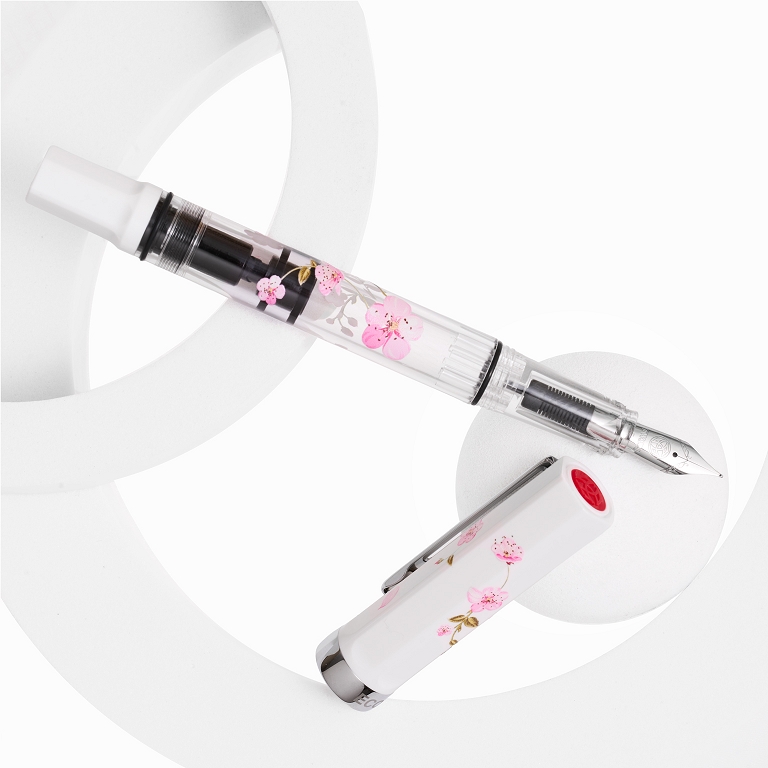 TWSBI Eco Fountain Pen