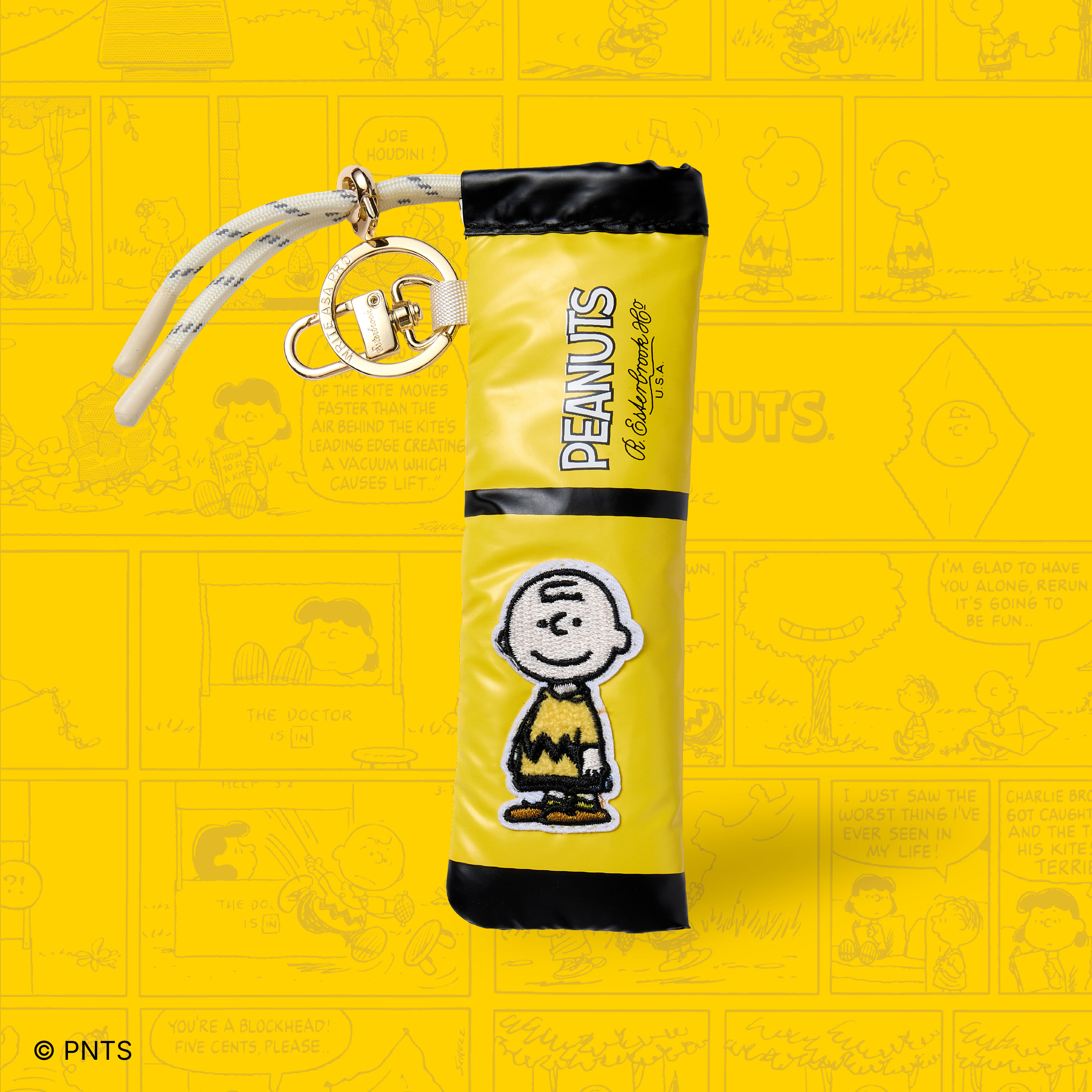 Esterbrook x Peanuts Pen Case